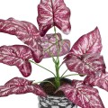 GloboStar® Artificial Garden RED POLKA 20887 Τεχνητό Διακοσμητικό Φυτό Κόκκινη Πόλκα Φ38 x Υ33cm GloboStar® Artificial Garden RED POLKA 20887 Τεχνητό Διακοσμητικό Φυτό Κόκκινη Πόλκα Φ38 x Υ33cm