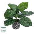 GloboStar® Artificial Garden ANTHURIUM 20892 Τεχνητό Διακοσμητικό Φυτό Ανθούριο Φ40 x Υ33cm GloboStar® Artificial Garden ANTHURIUM 20892 Τεχνητό Διακοσμητικό Φυτό Ανθούριο Φ40 x Υ33cm