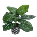 GloboStar® Artificial Garden ANTHURIUM 20892 Τεχνητό Διακοσμητικό Φυτό Ανθούριο Φ40 x Υ33cm GloboStar® Artificial Garden ANTHURIUM 20892 Τεχνητό Διακοσμητικό Φυτό Ανθούριο Φ40 x Υ33cm