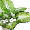 GloboStar® Artificial Garden CALADIUM POTTED PLANT 20894 Διακοσμητικό Φυτό Καλάντιουμ Φ40 x Υ33cm GloboStar® Artificial Garden CALADIUM POTTED PLANT 20894 Διακοσμητικό Φυτό Καλάντιουμ Φ40 x Υ33cm