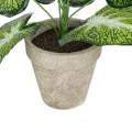 GloboStar® Artificial Garden CALADIUM POTTED PLANT 20894 Διακοσμητικό Φυτό Καλάντιουμ Φ40 x Υ33cm GloboStar® Artificial Garden CALADIUM POTTED PLANT 20894 Διακοσμητικό Φυτό Καλάντιουμ Φ40 x Υ33cm