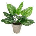 GloboStar® Artificial Garden SILVER POTHOS POTTED PLANT 20896 Διακοσμητικό Φυτό Πόθος Φ40 x Υ33cm GloboStar® Artificial Garden SILVER POTHOS POTTED PLANT 20896 Διακοσμητικό Φυτό Πόθος Φ40 x Υ33cm