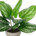 GloboStar® Artificial Garden SILVER POTHOS POTTED PLANT 20896 Διακοσμητικό Φυτό Πόθος Φ40 x Υ33cm GloboStar® Artificial Garden SILVER POTHOS POTTED PLANT 20896 Διακοσμητικό Φυτό Πόθος Φ40 x Υ33cm
