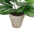 GloboStar® Artificial Garden SILVER POTHOS POTTED PLANT 20896 Διακοσμητικό Φυτό Πόθος Φ40 x Υ33cm GloboStar® Artificial Garden SILVER POTHOS POTTED PLANT 20896 Διακοσμητικό Φυτό Πόθος Φ40 x Υ33cm