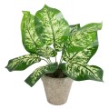 GloboStar® Artificial Garden DIEFFENBACHIA POTTED PLANT 20897 Διακοσμητικό Φυτό Διεφενμπάχια Φ40 x Υ33cm GloboStar® Artificial Garden DIEFFENBACHIA POTTED PLANT 20897 Διακοσμητικό Φυτό Διεφενμπάχια Φ40 x Υ33cm