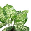 GloboStar® Artificial Garden DIEFFENBACHIA POTTED PLANT 20897 Διακοσμητικό Φυτό Διεφενμπάχια Φ40 x Υ33cm GloboStar® Artificial Garden DIEFFENBACHIA POTTED PLANT 20897 Διακοσμητικό Φυτό Διεφενμπάχια Φ40 x Υ33cm