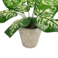 GloboStar® Artificial Garden DIEFFENBACHIA POTTED PLANT 20897 Διακοσμητικό Φυτό Διεφενμπάχια Φ40 x Υ33cm GloboStar® Artificial Garden DIEFFENBACHIA POTTED PLANT 20897 Διακοσμητικό Φυτό Διεφενμπάχια Φ40 x Υ33cm
