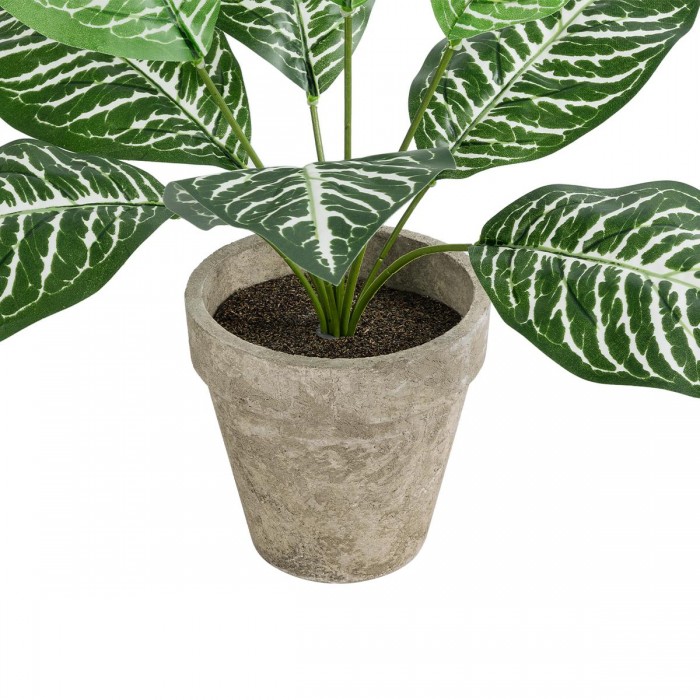 GloboStar® Artificial Garden ZEBRA POTTED PLANT 20898 Διακοσμητικό Φυτό Ζέμπρα Φ40 x Υ33cm