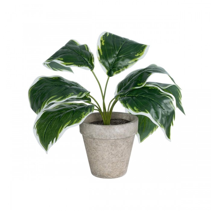 GloboStar® Artificial Garden WHITE HOSTA 20900 Διακοσμητικό Φυτό Λευκή  Χόστα Υ40cm