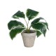 GloboStar® Artificial Garden WHITE HOSTA 20900 Διακοσμητικό Φυτό Λευκή  Χόστα Υ40cm