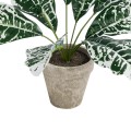 GloboStar® Artificial Garden WHITE AGLAONEMA POTTED PLANT 20903 Διακοσμητικό Φυτό Λευκό Αγλαόνημα Φ40 x Υ33cm