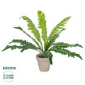 GloboStar® Artificial Garden ASPLENIUM POTTED PLANT 20904 Διακοσμητικό Φυτό Aslenium Φ40 x Υ33cm GloboStar® Artificial Garden ASPLENIUM POTTED PLANT 20904 Διακοσμητικό Φυτό Aslenium Φ40 x Υ33cm
