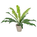 GloboStar® Artificial Garden ASPLENIUM POTTED PLANT 20904 Διακοσμητικό Φυτό Aslenium Φ40 x Υ33cm GloboStar® Artificial Garden ASPLENIUM POTTED PLANT 20904 Διακοσμητικό Φυτό Aslenium Φ40 x Υ33cm