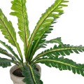GloboStar® Artificial Garden ASPLENIUM POTTED PLANT 20904 Διακοσμητικό Φυτό Aslenium Φ40 x Υ33cm GloboStar® Artificial Garden ASPLENIUM POTTED PLANT 20904 Διακοσμητικό Φυτό Aslenium Φ40 x Υ33cm