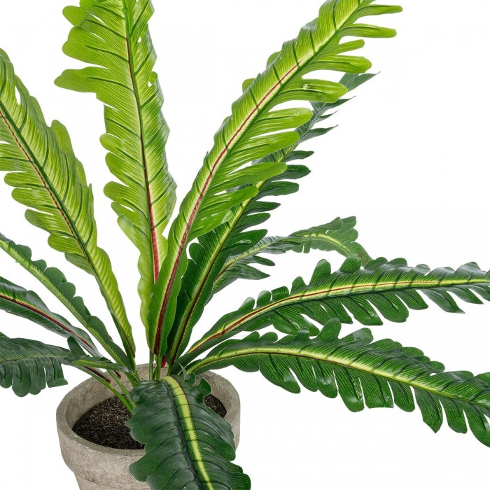 GloboStar® Artificial Garden ASPLENIUM POTTED PLANT 20904 Διακοσμητικό Φυτό Aslenium Φ40 x Υ33cm GloboStar® Artificial Garden ASPLENIUM POTTED PLANT 20904 Διακοσμητικό Φυτό Aslenium Φ40 x Υ33cm