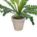 GloboStar® Artificial Garden ASPLENIUM POTTED PLANT 20904 Διακοσμητικό Φυτό Aslenium Φ40 x Υ33cm GloboStar® Artificial Garden ASPLENIUM POTTED PLANT 20904 Διακοσμητικό Φυτό Aslenium Φ40 x Υ33cm