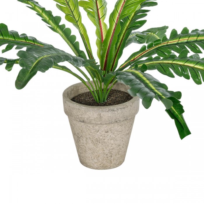 GloboStar® Artificial Garden ASPLENIUM POTTED PLANT 20904 Διακοσμητικό Φυτό Aslenium Φ40 x Υ33cm GloboStar® Artificial Garden ASPLENIUM POTTED PLANT 20904 Διακοσμητικό Φυτό Aslenium Φ40 x Υ33cm
