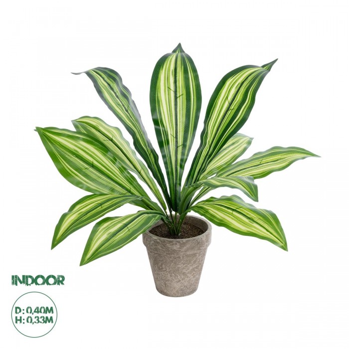 GloboStar® Artificial Garden DRACAENA POTTED PLANT 20907 Διακοσμητικό Φυτό Δράκενα Φ40 x Υ33cm GloboStar® Artificial Garden DRACAENA POTTED PLANT 20907 Διακοσμητικό Φυτό Δράκενα Φ40 x Υ33cm