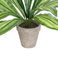 GloboStar® Artificial Garden  DRACAENA POTTED PLANT 20907 Διακοσμητικό Φυτό Δράκενα Φ40 x Υ33cm
