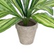 GloboStar® Artificial Garden  DRACAENA POTTED PLANT 20907 Διακοσμητικό Φυτό Δράκενα Φ40 x Υ33cm