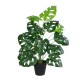 GloboStar® Artificial Garden MONSTERA 20909 Διακοσμητικό Φυτό Μονστέρα Υ75cm