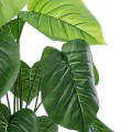 GloboStar® Artificial Garden PHILODENDRON 20910 Διακοσμητικό Φυτό Φυλλόδεντρο Υ75cm GloboStar® Artificial Garden PHILODENDRON 20910 Διακοσμητικό Φυτό Φυλλόδεντρο Υ75cm