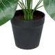 GloboStar® Artificial Garden PHILODENDRON 20910 Διακοσμητικό Φυτό Φυλλόδεντρο Υ75cm
