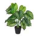 GloboStar® Artificial Garden CALATHEA 20912 Διακοσμητικό Φυτό Καλαθέα Υ75cm
