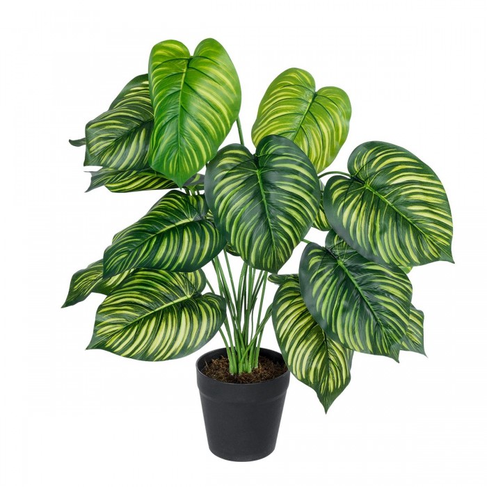 GloboStar® Artificial Garden CALATHEA 20912 Διακοσμητικό Φυτό Καλαθέα Υ75cm