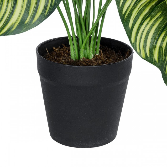 GloboStar® Artificial Garden CALATHEA 20912 Διακοσμητικό Φυτό Καλαθέα Υ75cm