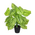 GloboStar® Artificial Garden CALADIUM 20913 Διακοσμητικό Φυτό Καλάντιουμ Υ75cm
