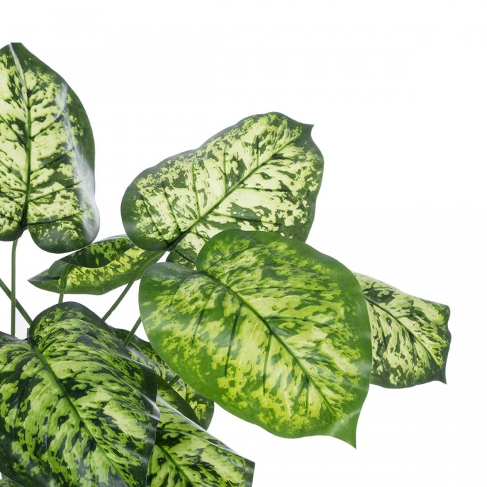 GloboStar® Artificial Garden DIEFFENBACHIA 20914 Διακοσμητικό Φυτό Υ75cm