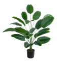 GloboStar® Artificial Garden YOUNG BANANA 20916 Διακοσμητικό Φυτό Νεαρή Μπανανιά Υ80cm