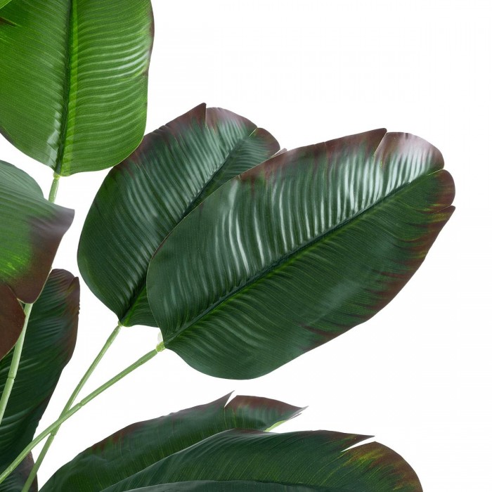 GloboStar® Artificial Garden OLD BANANA 20917 Διακοσμητικό Φυτό Ώριμη Μπανανιά Υ80cm