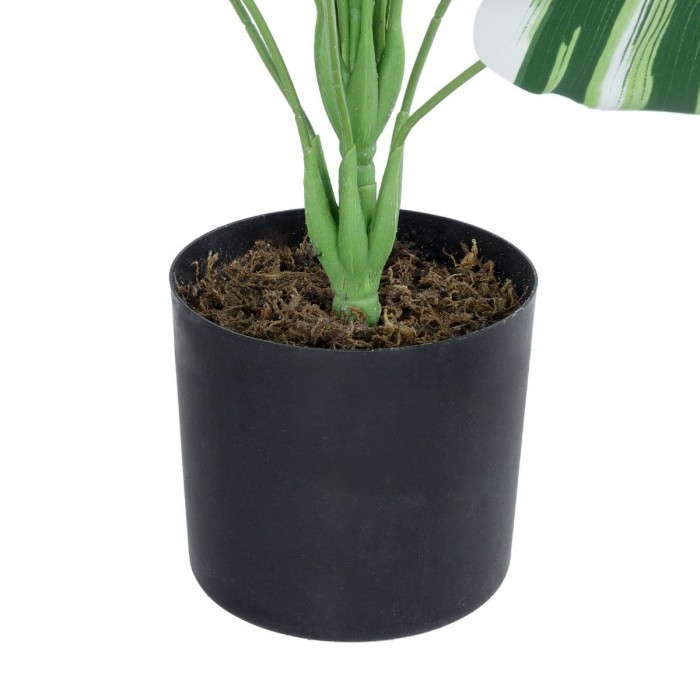 GloboStar® Artificial Garden BANANA ZEBRA 20918 Διακοσμητικό Φυτό Μπανανιά Ζέβρα Υ80cm