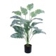 GloboStar® Artificial Garden BANANA ZEBRA 20919 Διακοσμητικό Φυτό Μπανανιά Ζέβρα Υ80cm