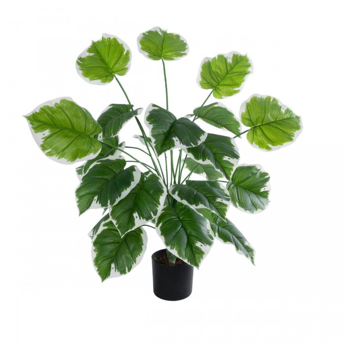 GloboStar® Artificial Garden WHITE HOSTA 20920 Διακοσμητικό Φυτό Λευκή Χόστα Υ80cm