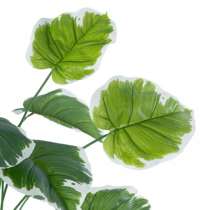 GloboStar® Artificial Garden WHITE HOSTA 20920 Διακοσμητικό Φυτό Λευκή Χόστα Υ80cm