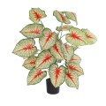 GloboStar® Artificial Garden CALADIUM 20921 Διακοσμητικό Φυτό Καλάντιουμ Υ80cm