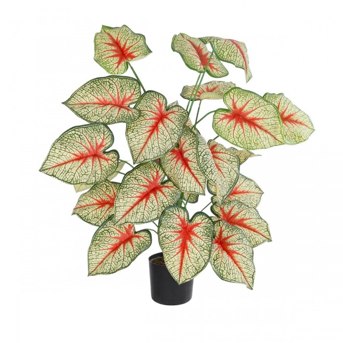GloboStar® Artificial Garden CALADIUM 20921 Διακοσμητικό Φυτό Καλάντιουμ Υ80cm