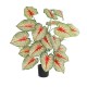 GloboStar® Artificial Garden CALADIUM 20921 Διακοσμητικό Φυτό Καλάντιουμ Υ80cm