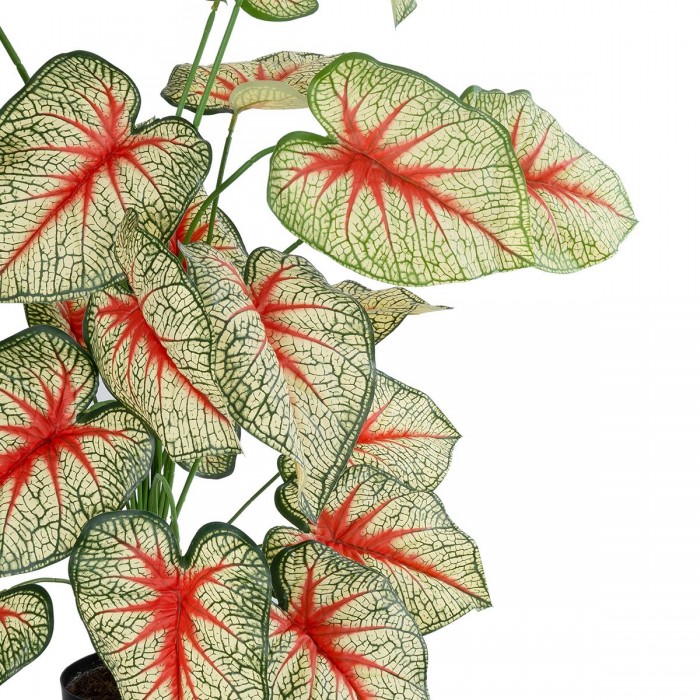 GloboStar® Artificial Garden CALADIUM 20921 Διακοσμητικό Φυτό Καλάντιουμ Υ80cm