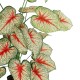 GloboStar® Artificial Garden CALADIUM 20921 Διακοσμητικό Φυτό Καλάντιουμ Υ80cm