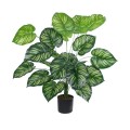 GloboStar® Artificial Garden CALATHEA 20922 Διακοσμητικό Φυτό Καλαθέα Υ80cm