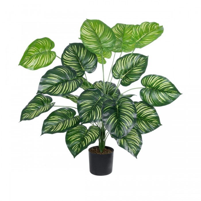 GloboStar® Artificial Garden CALATHEA 20922 Διακοσμητικό Φυτό Καλαθέα Υ80cm
