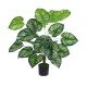 GloboStar® Artificial Garden CALATHEA 20922 Διακοσμητικό Φυτό Καλαθέα Υ80cm