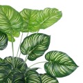 GloboStar® Artificial Garden CALATHEA 20922 Διακοσμητικό Φυτό Καλαθέα Υ80cm