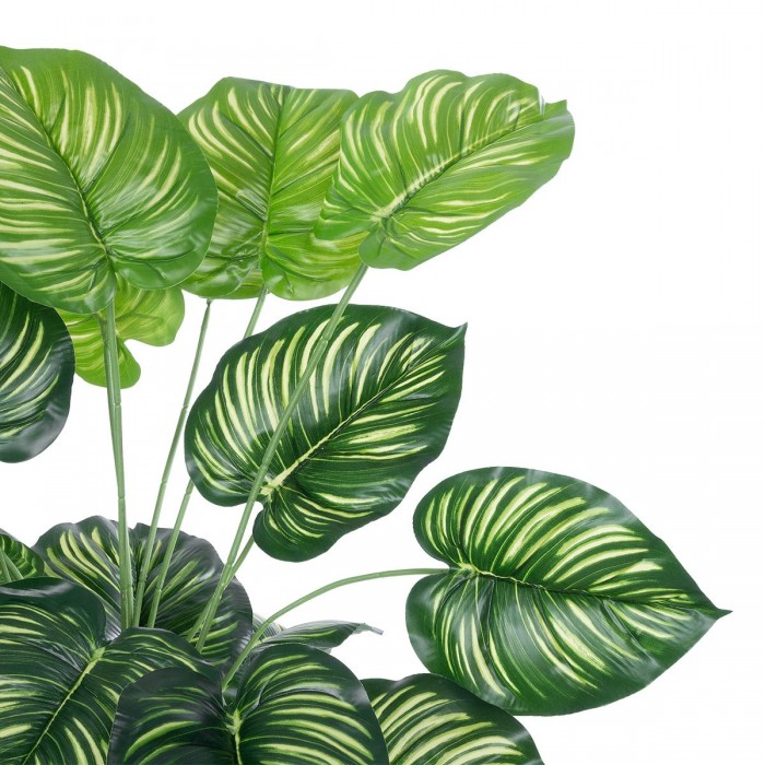 GloboStar® Artificial Garden CALATHEA 20922 Διακοσμητικό Φυτό Καλαθέα Υ80cm
