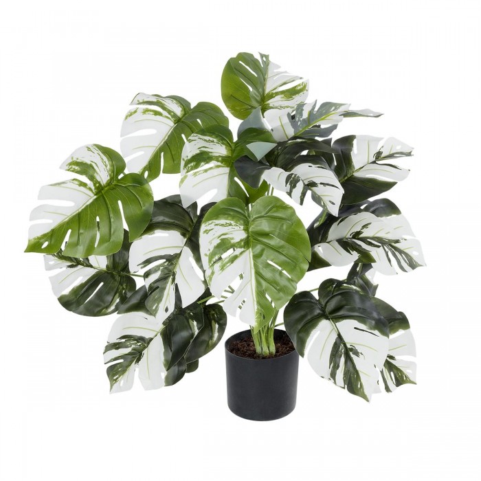GloboStar® Artificial Garden ALBINO MONSTERA 20925 Διακοσμητικό Φυτό Λευκή Μονστέρα Υ75cm
