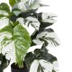 GloboStar® Artificial Garden ALBINO MONSTERA 20925 Διακοσμητικό Φυτό Λευκή Μονστέρα Υ75cm